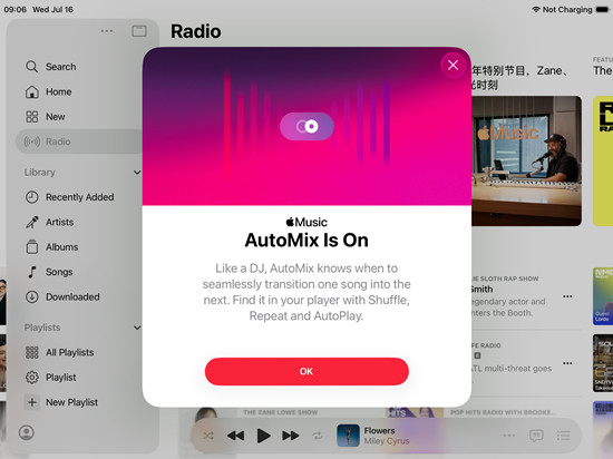 how to enable apple iOS 26 music Automix?